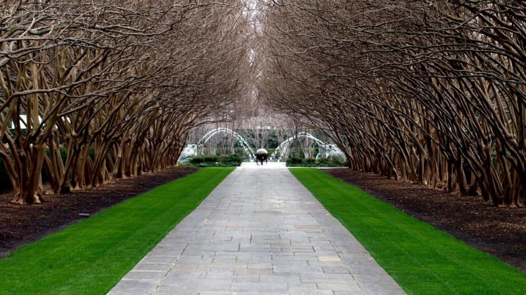 Courtesy of the Dallas Arboretum website