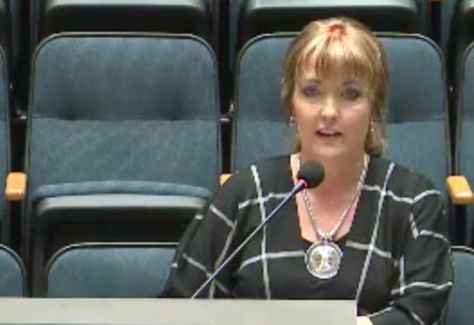Audra Buckley, owner of Permitted Development, negotiated for InTown Homes before City Plan Commission.